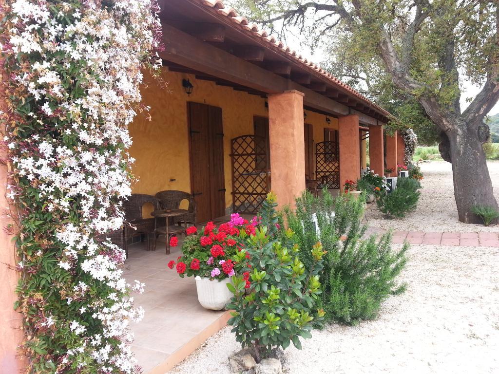 Agriturismo La Barca In Secca Olmedo Bagian luar foto